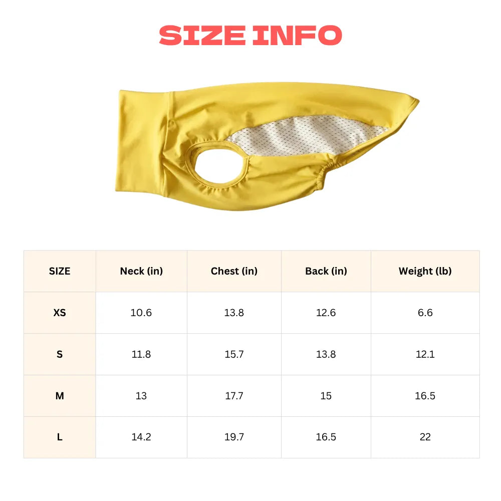 Dachshund Cooling Vest | UPF 50+ Sun Protection, Quick-Dry Summer Shirt | ArtisanUni