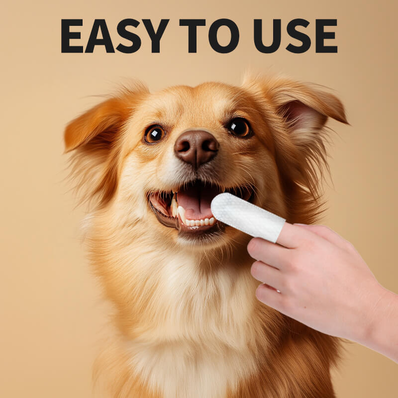 Pet Teeth Finger Wipes