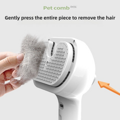 Pet Steam Brush