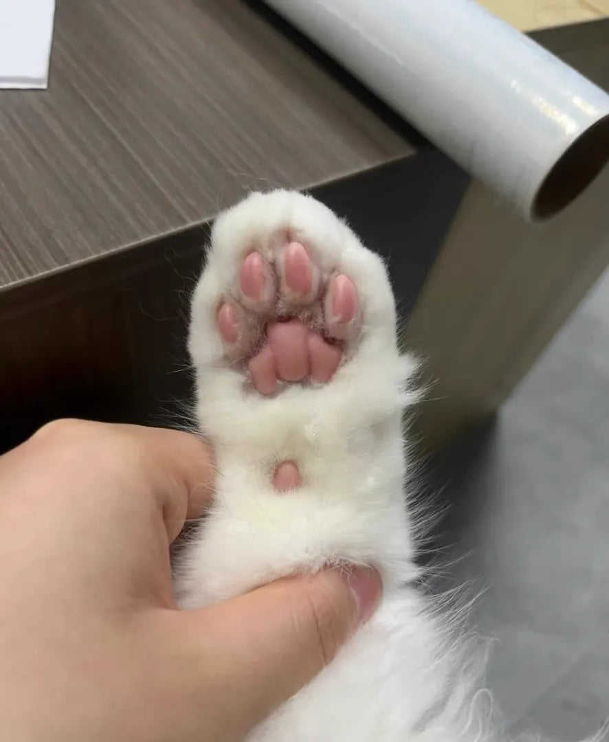 The Complete Guide to Pet Nail Tool Maintenance: Protect Your Investment &amp; Your Pup’s Paws!