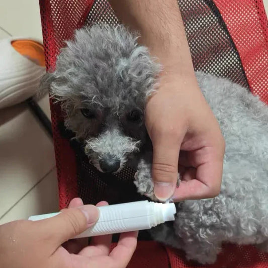 How to teach your dog to enjoy nail trims