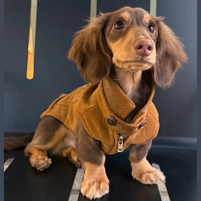 COAT