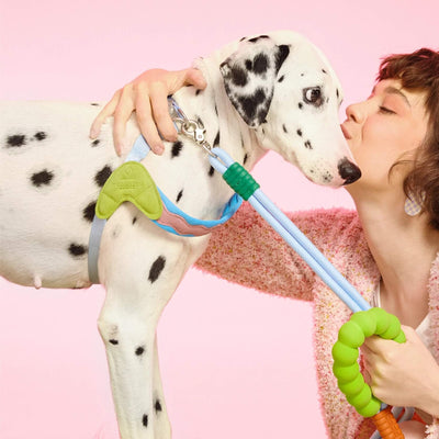 Leash