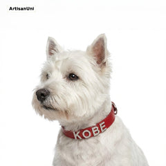 Custom-made letter diamond collar