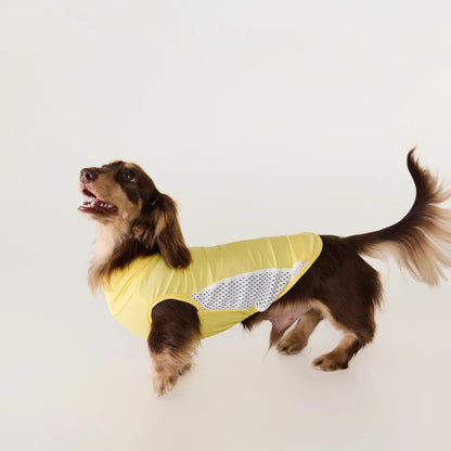 Dachshund Cooling Vest | UPF 50+ Sun Protection, Quick-Dry Summer Shirt | ArtisanUni