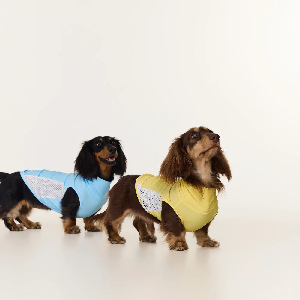 Dachshund Cooling Vest | UPF 50+ Sun Protection, Quick-Dry Summer Shirt | ArtisanUni