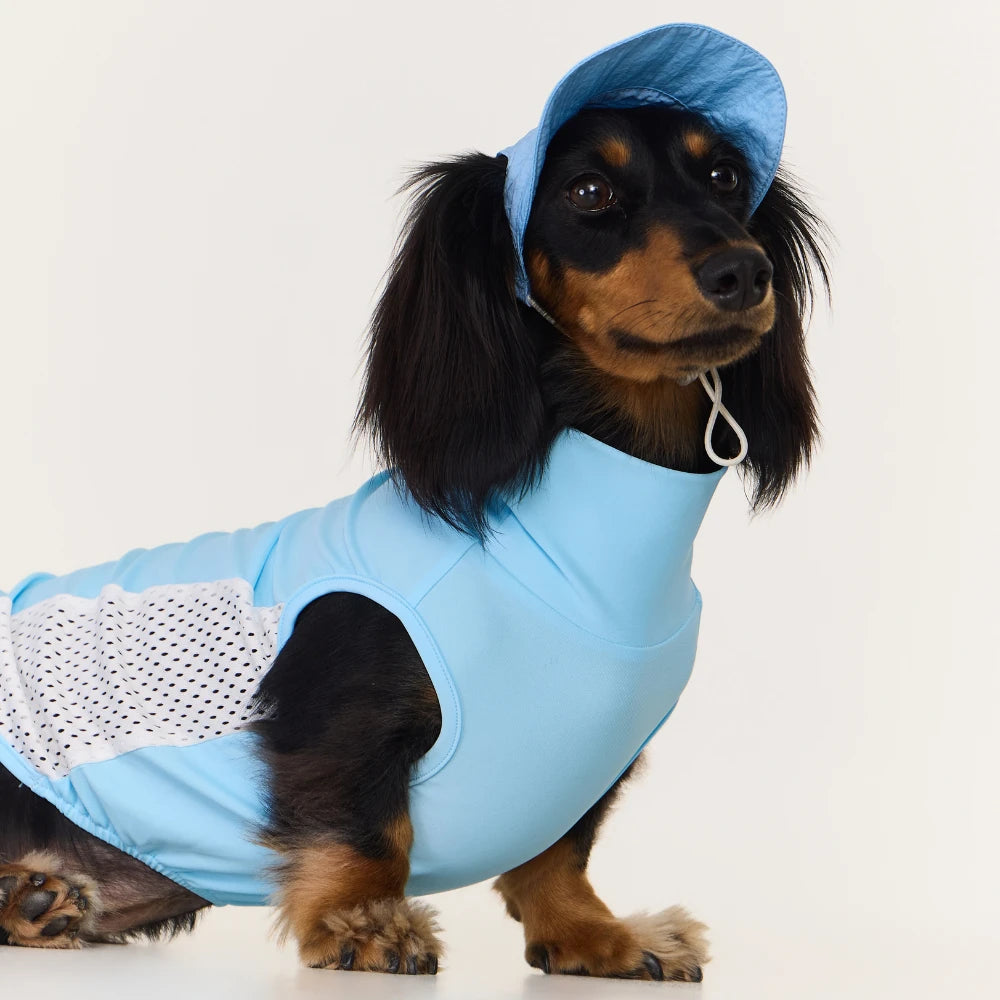 Dog Cooling Hat | Wide Brim Sun Protection Cap for Dogs & Cats | ArtisanUni