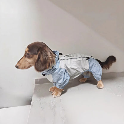 Dachshund Four-Legged Waterproof Raincoat | Spring Essential | ArtisanUni