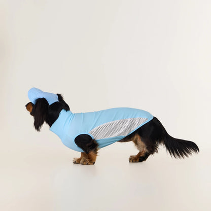 Dachshund Cooling Vest | UPF 50+ Sun Protection, Quick-Dry Summer Shirt | ArtisanUni