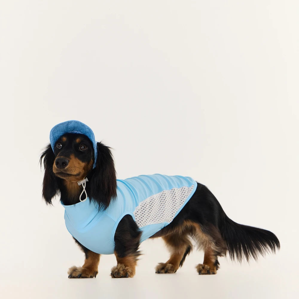 Dachshund Cooling Vest | UPF 50+ Sun Protection, Quick-Dry Summer Shirt | ArtisanUni