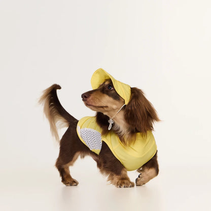 Dog Cooling Hat | Wide Brim Sun Protection Cap for Dogs & Cats | ArtisanUni