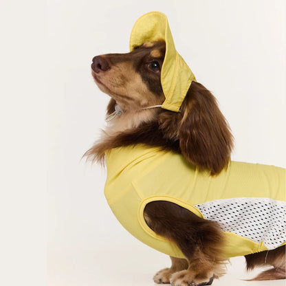 Dog Cooling Hat | Wide Brim Sun Protection Cap for Dogs & Cats | ArtisanUni