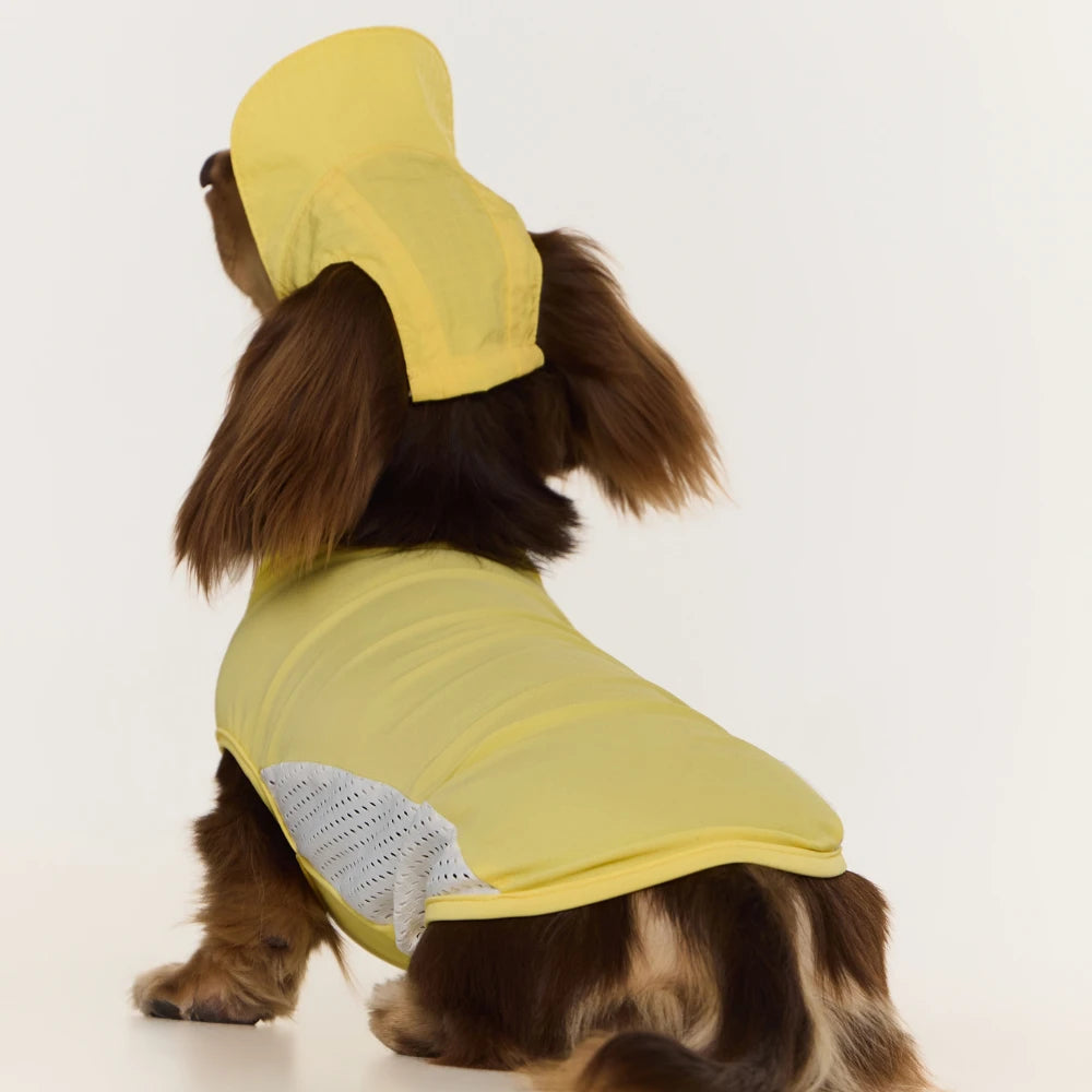 Dachshund Cooling Vest | UPF 50+ Sun Protection, Quick-Dry Summer Shirt | ArtisanUni