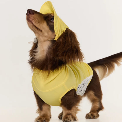 Dog Cooling Hat | Wide Brim Sun Protection Cap for Dogs & Cats | ArtisanUni