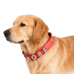 Custom-made letter diamond collar