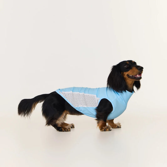 Sky Blue Dachshund Cooling Vest | UPF 50+ Quick-Dry | ArtisanUni