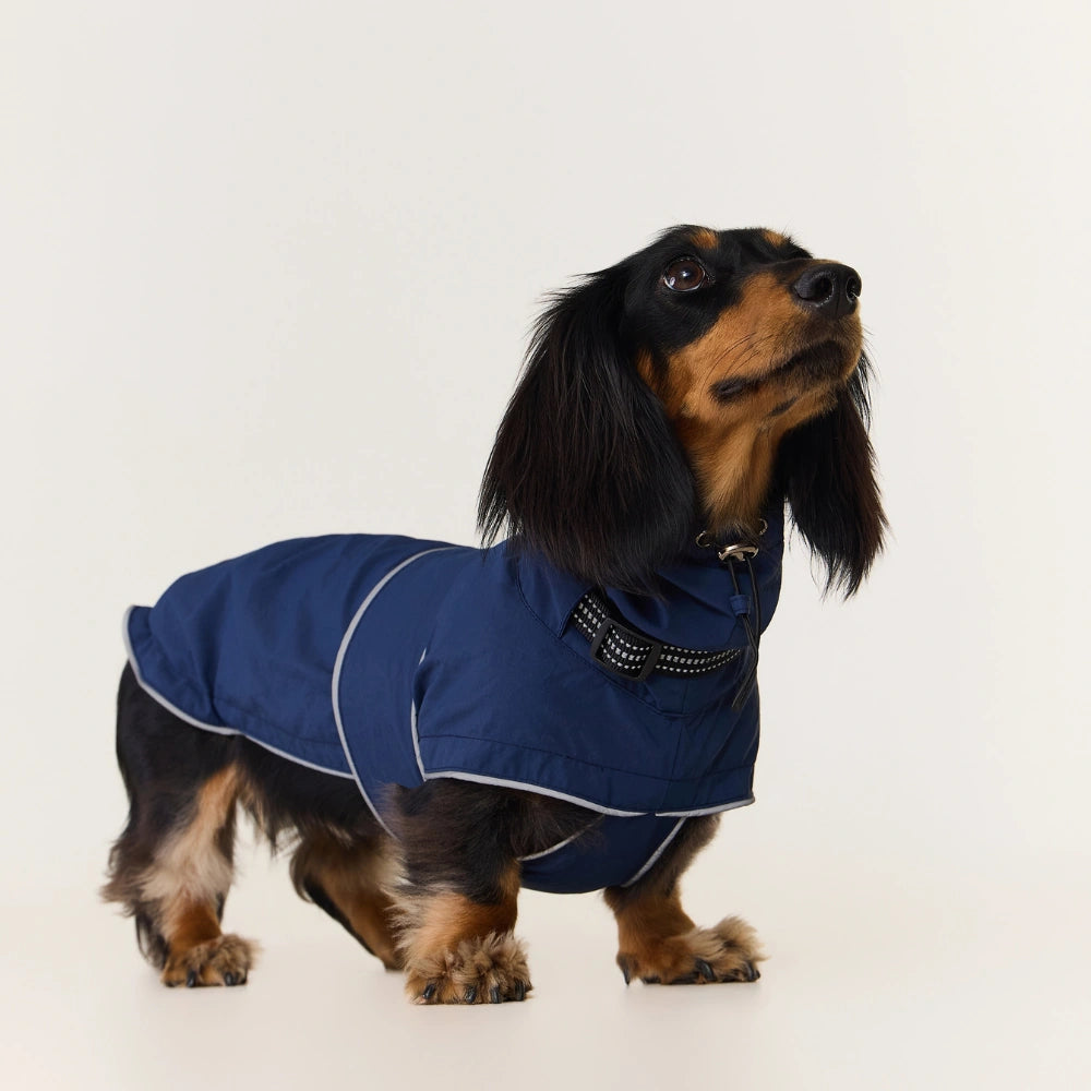 Dachshund Raincoat | Waterproof Windproof Shell Jacket with Hood | ArtisanUni