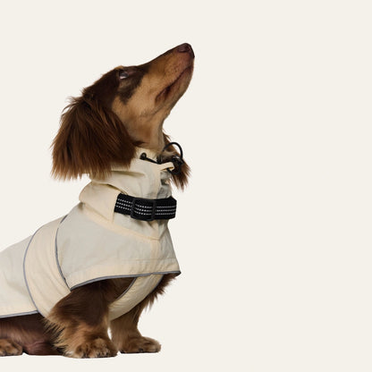 Dachshund Raincoat | Waterproof Windproof Shell Jacket with Hood | ArtisanUni