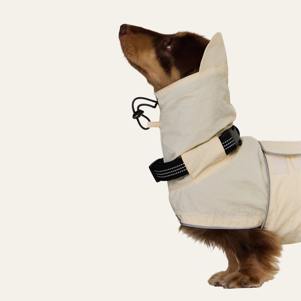 Dachshund Raincoat | Waterproof Windproof Shell Jacket with Hood | ArtisanUni
