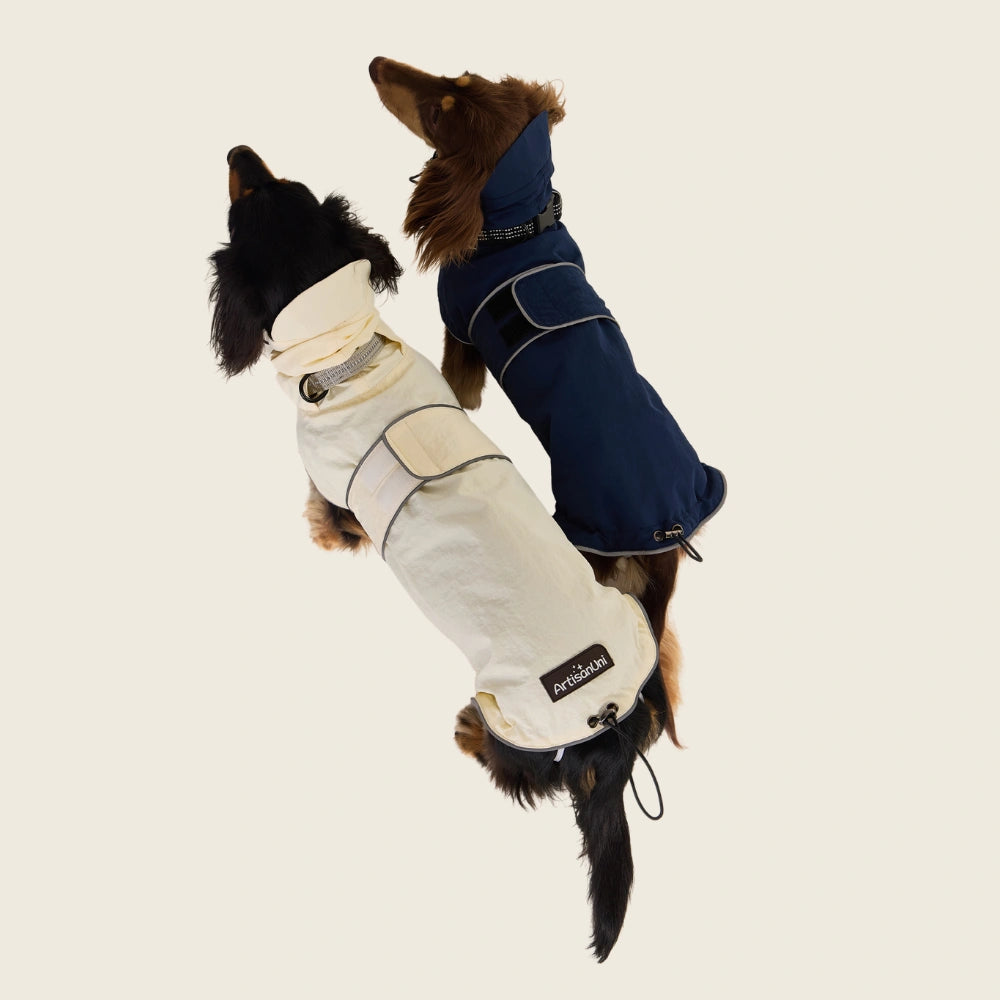 Dachshund Raincoat | Waterproof Windproof Shell Jacket with Hood | ArtisanUni