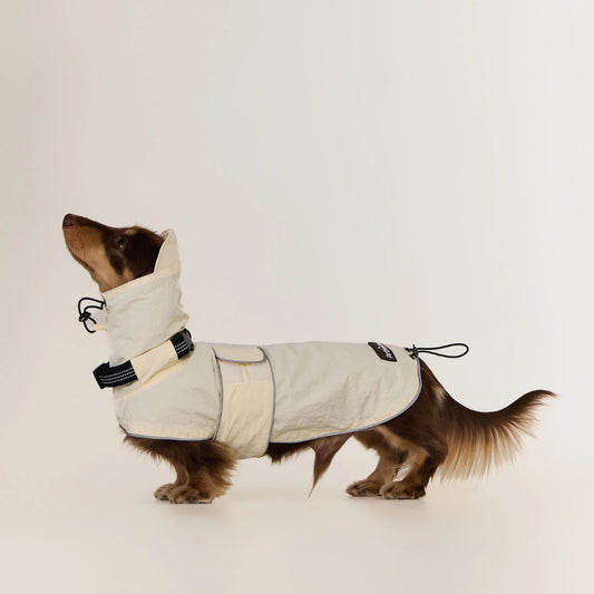 Dachshund Raincoat | Waterproof Windproof Shell Jacket with Hood | ArtisanUni