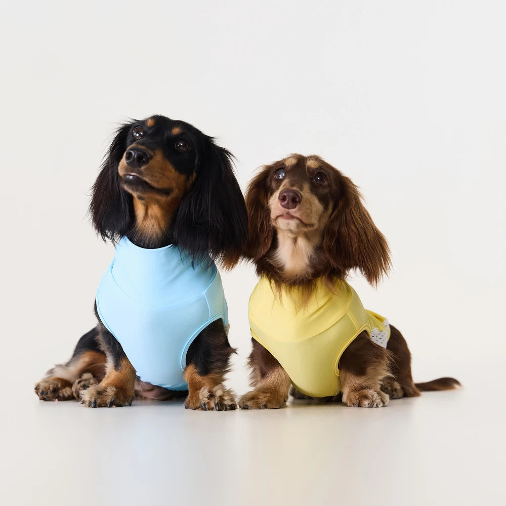 Dachshund Cooling Vest | UPF 50+ Sun Protection, Quick-Dry Summer Shirt | ArtisanUni