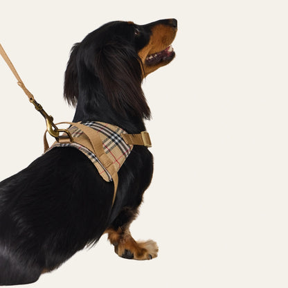 Dachshund Harness | No-Pull Step-In Harness & Harness Kit with Leash | ArtisanUni