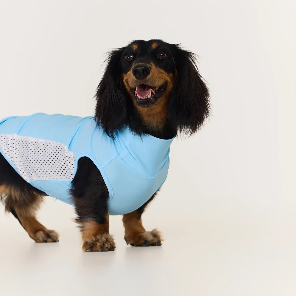 Dachshund Cooling Vest | UPF 50+ Sun Protection, Quick-Dry Summer Shirt | ArtisanUni
