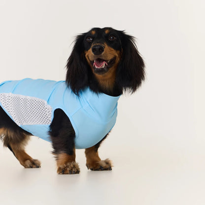 Dachshund Cooling Vest | UPF 50+ Sun Protection, Quick-Dry Summer Shirt | ArtisanUni