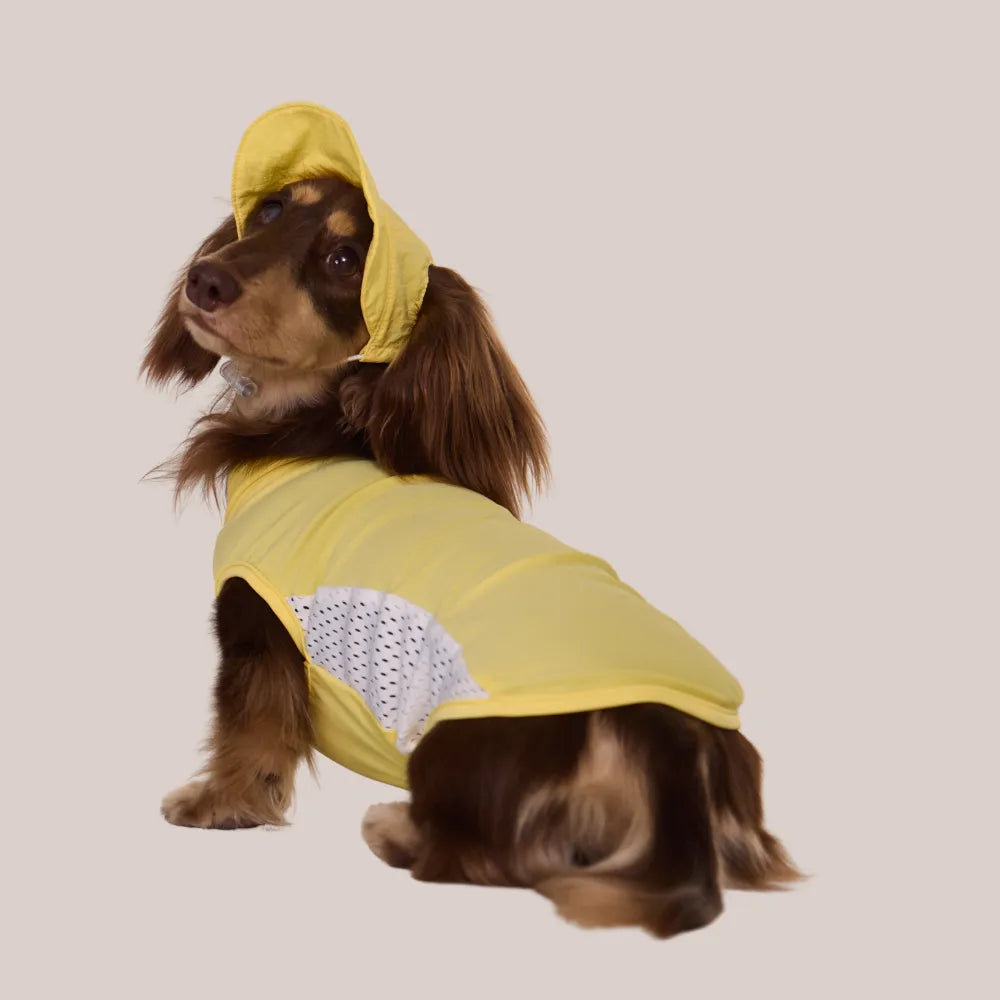 Yellow Cooling Hat | Wide Brim Sun Protection Cap | ArtisanUni