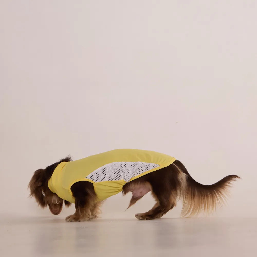 Yellow Dachshund Cooling Vest | UPF 50+ Quick-Dry | ArtisanUni