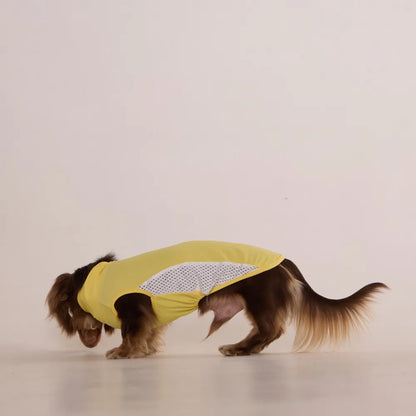 Yellow Dachshund Cooling Vest | UPF 50+ Quick-Dry | ArtisanUni