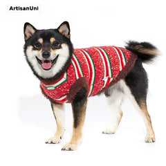 ArtisanUni Colorful striped sweater vest