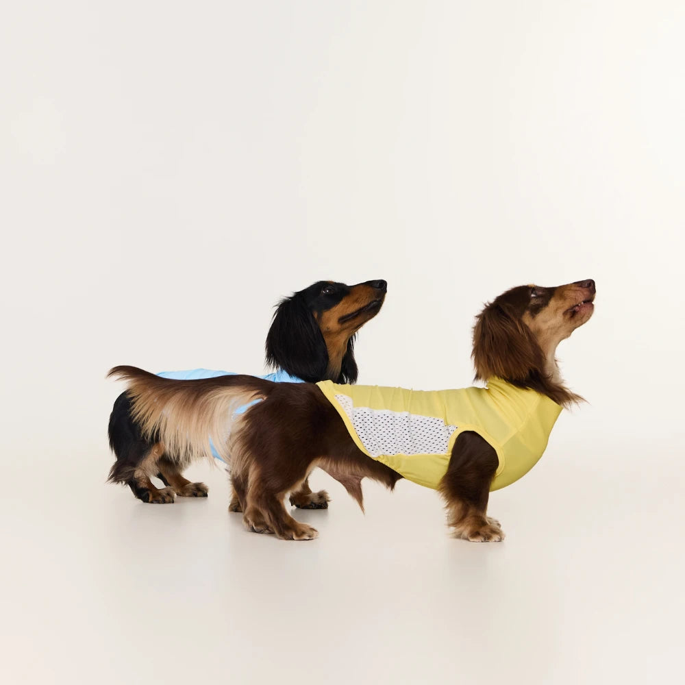 Dachshund Cooling Vest | UPF 50+ Sun Protection, Quick-Dry Summer Shirt | ArtisanUni