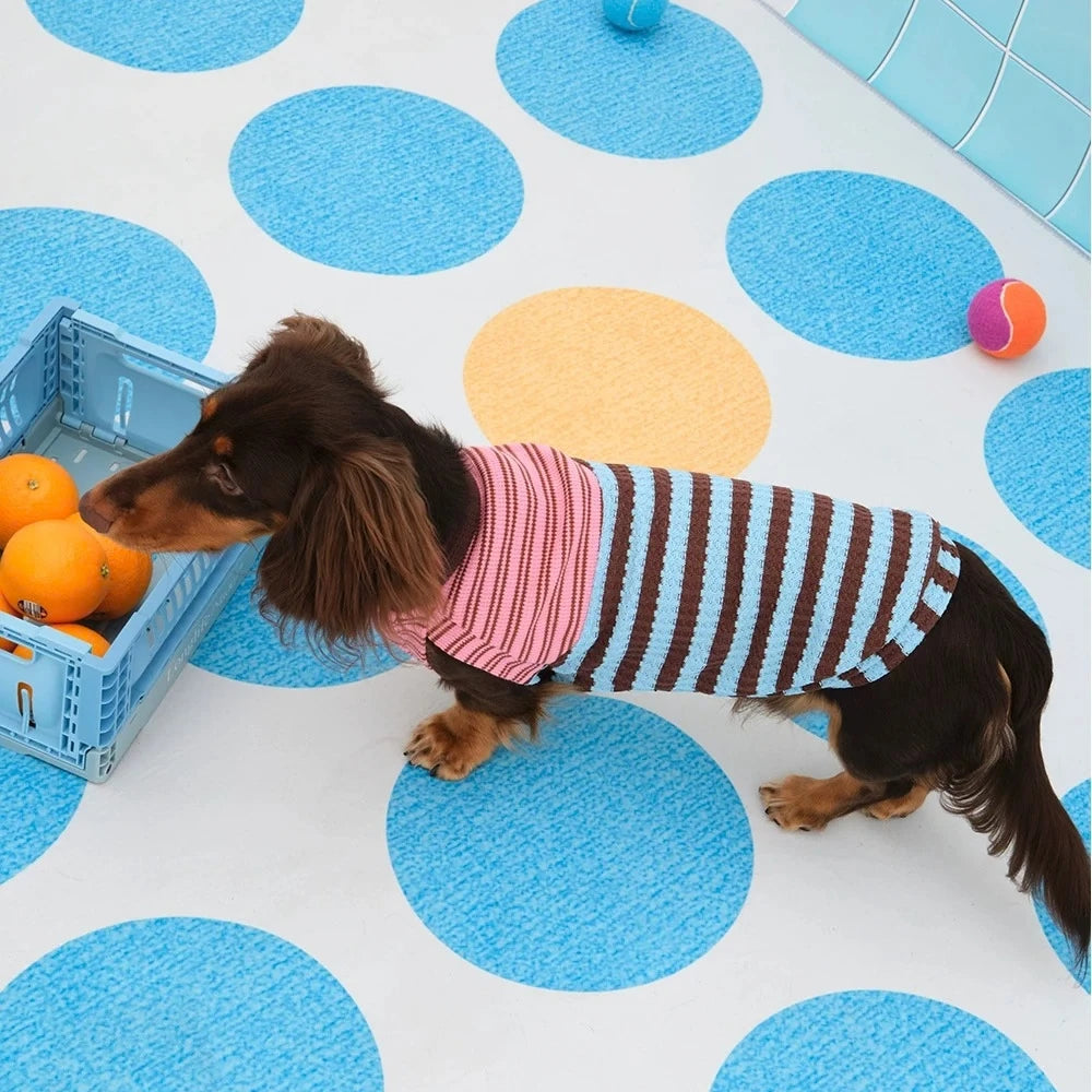Dachshund T-Shirt | Color-Block Stripe Shirt for Wiener Dogs | ArtisanUni