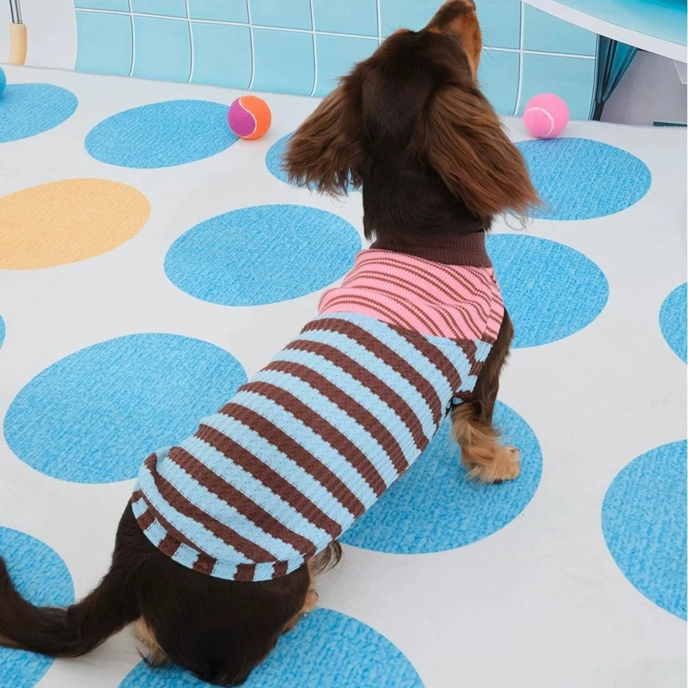 Dachshund T-Shirt | Color-Block Stripe Shirt for Wiener Dogs | ArtisanUni