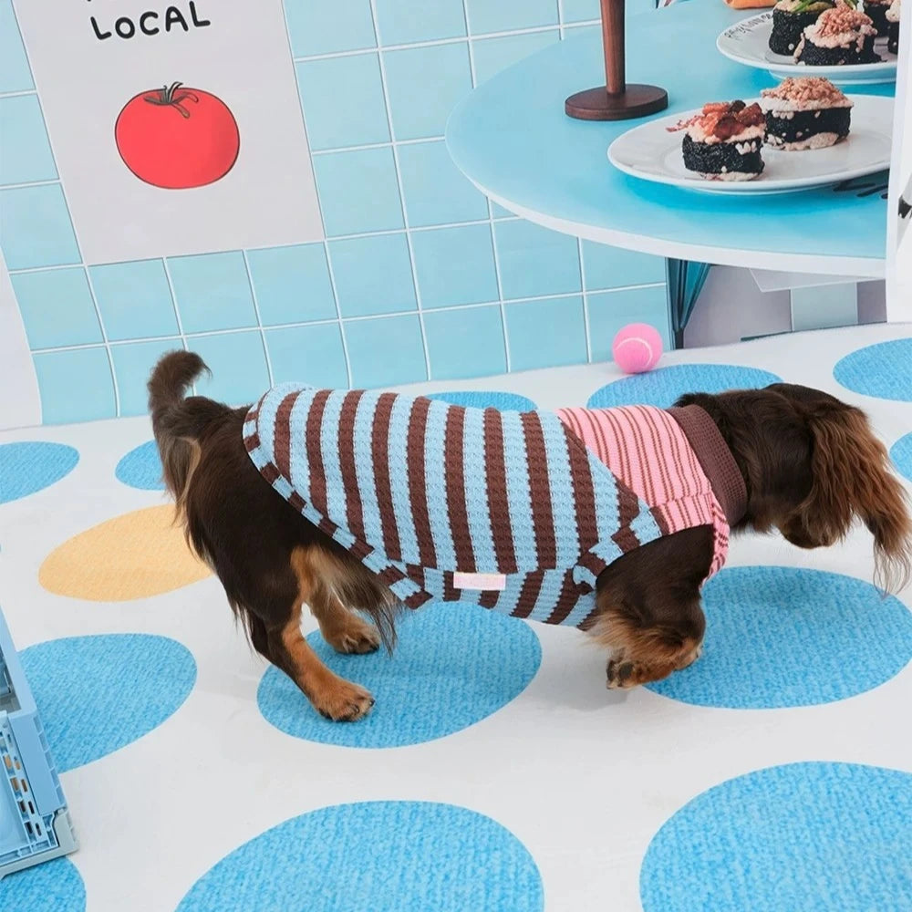 Dachshund T-Shirt | Color-Block Stripe Shirt for Wiener Dogs | ArtisanUni