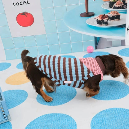Dachshund T-Shirt | Color-Block Stripe Shirt for Wiener Dogs | ArtisanUni