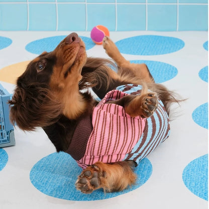 Dachshund T-Shirt | Color-Block Stripe Shirt for Wiener Dogs | ArtisanUni