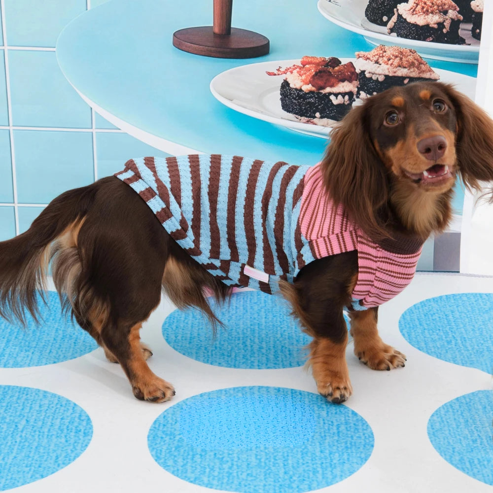 Dachshund T-Shirt | Color-Block Stripe Shirt for Wiener Dogs | ArtisanUni
