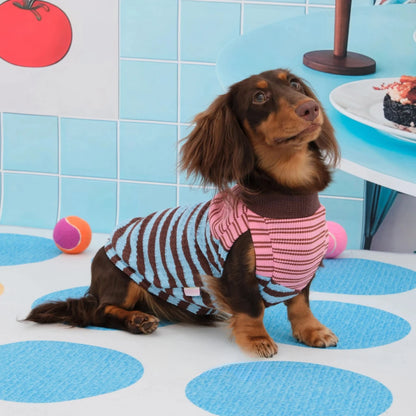 Dachshund T-Shirt | Color-Block Stripe Shirt for Wiener Dogs | ArtisanUni