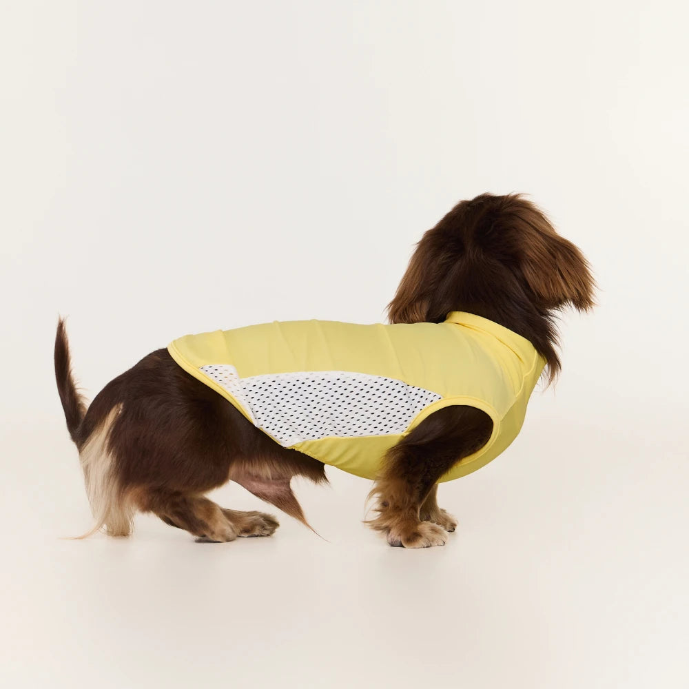 Dachshund Cooling Vest | UPF 50+ Sun Protection, Quick-Dry Summer Shirt | ArtisanUni