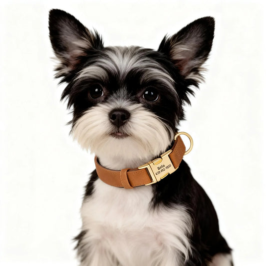 ArtisanUni Engraved dog collars
