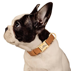 ArtisanUni Engraved dog collars