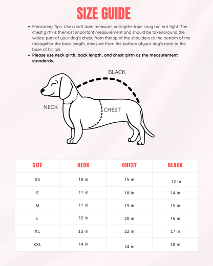 Warm Sweaters for Dachshunds – Cozy  Winter Sweaters for Long Body Dogs | ArtisanUni