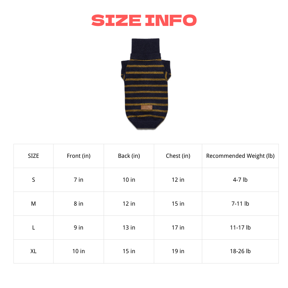 Sweater Dachshund Long Body  |  Blue & Yellow Striped  Polo Knit | Dachshund Clothing | ArtisanUni