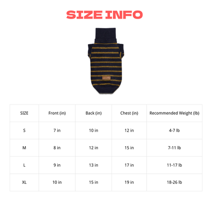 Sweater Dachshund Long Body  |  Blue & Yellow Striped  Polo Knit | Dachshund Clothing | ArtisanUni