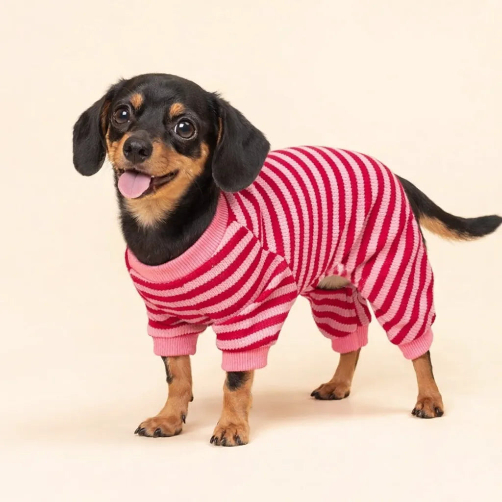 Cute Striped Dachshund Pajamas - Soft & Funny Dog Print Sleepwear Gift | ArtisanUni