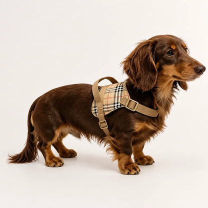 Dachshund Harness | No-Pull Step-In Harness & Harness Kit with Leash | ArtisanUni