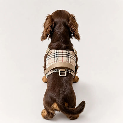 Dachshund Harness | No-Pull Step-In Harness & Harness Kit with Leash | ArtisanUni